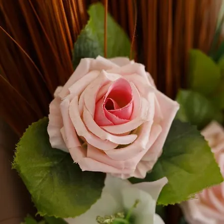 Bed & Breakfast Sweet