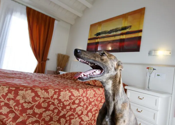 Nocleg ze śniadaniem Sweet 4*