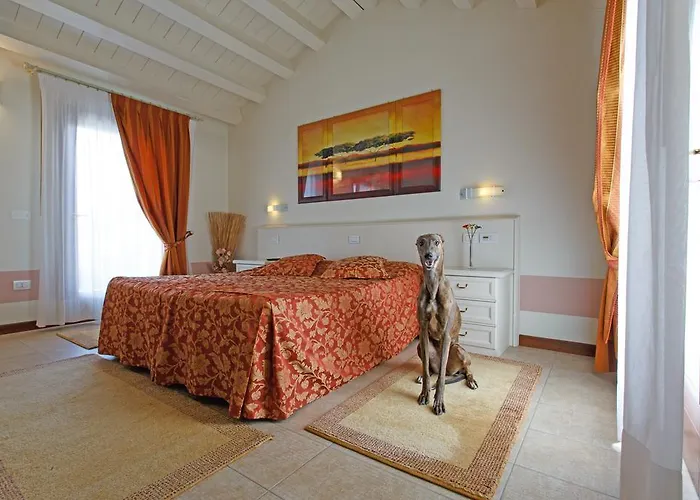 לינה וארוחת בוקר Sweet