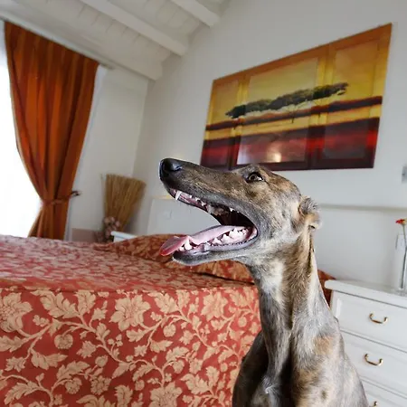 Bed & Breakfast Sweet 4*